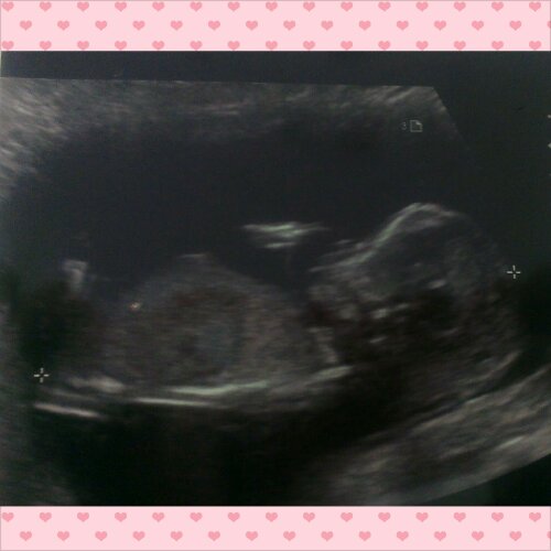 PhotoGrid_1375994455596.png image